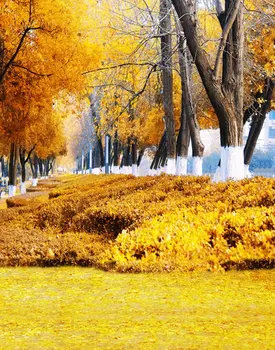 5x7 футов Осенние желтые фоны для фотосъемки с деревьями и травой Реквизит для фотосъемки Студийный фон